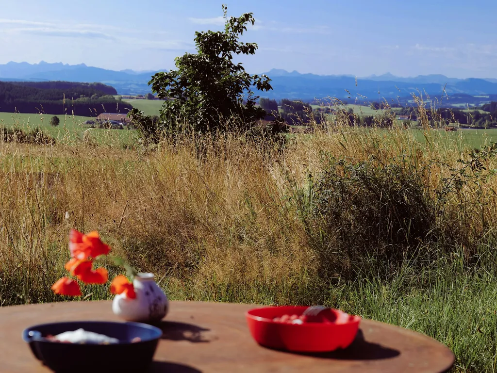 Naturidyll mit Bergblick 2