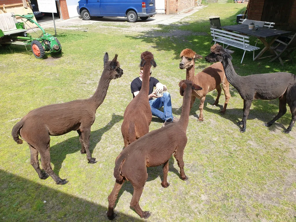 Alpacanaturcamp
