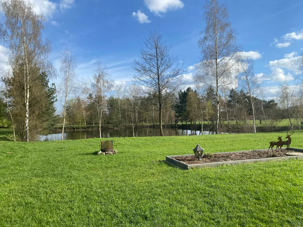 Wiese mit Teichblick