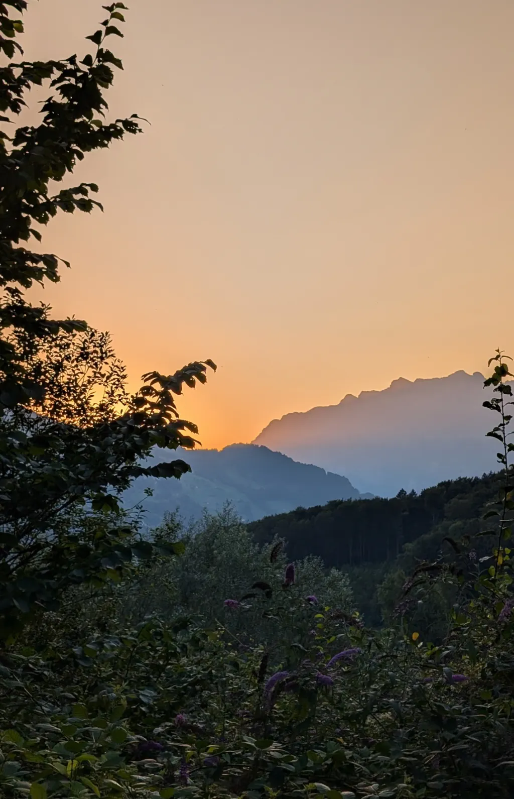 Natur und Panorama Camp "Stein"