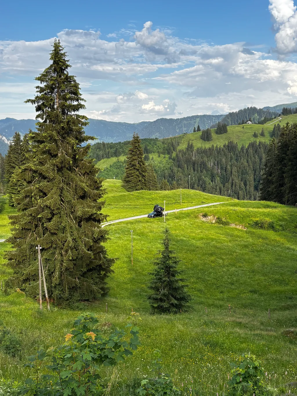 Bild von Jan für den Spot 4358