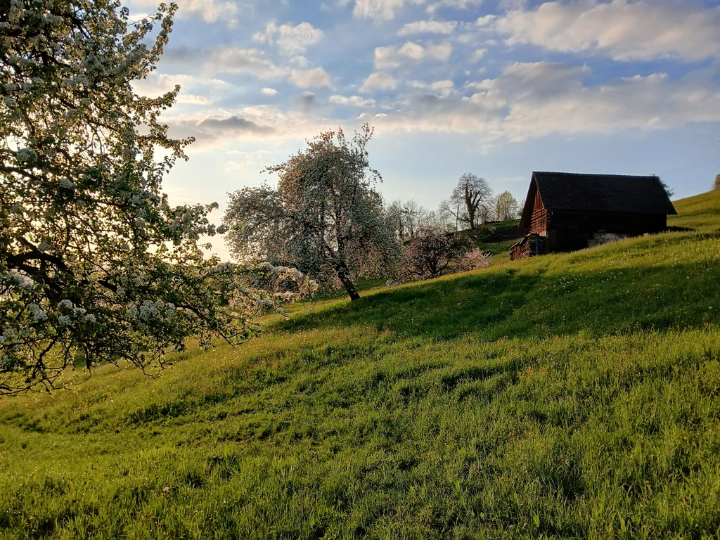 Lieblingsplatz mit Sicht auf See & Berge, «Gädeli»