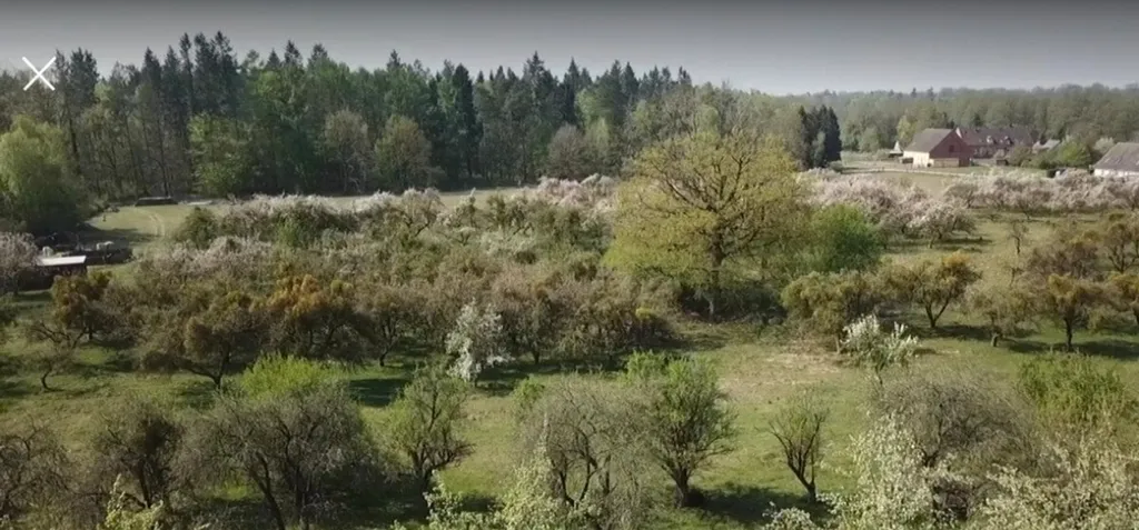 Apfelwiese mit Pferd und Schaf, waldnah und ruhig.