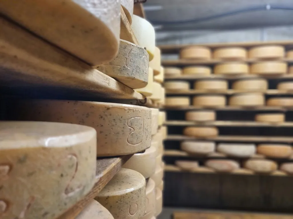 Ruhige Wieseneinfahrt am Bachlauf