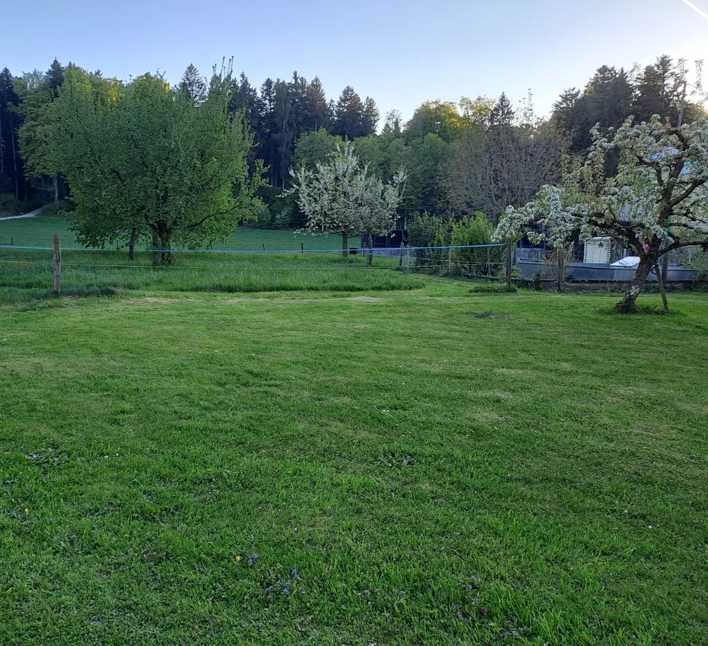 Freiämter - Traumaussicht