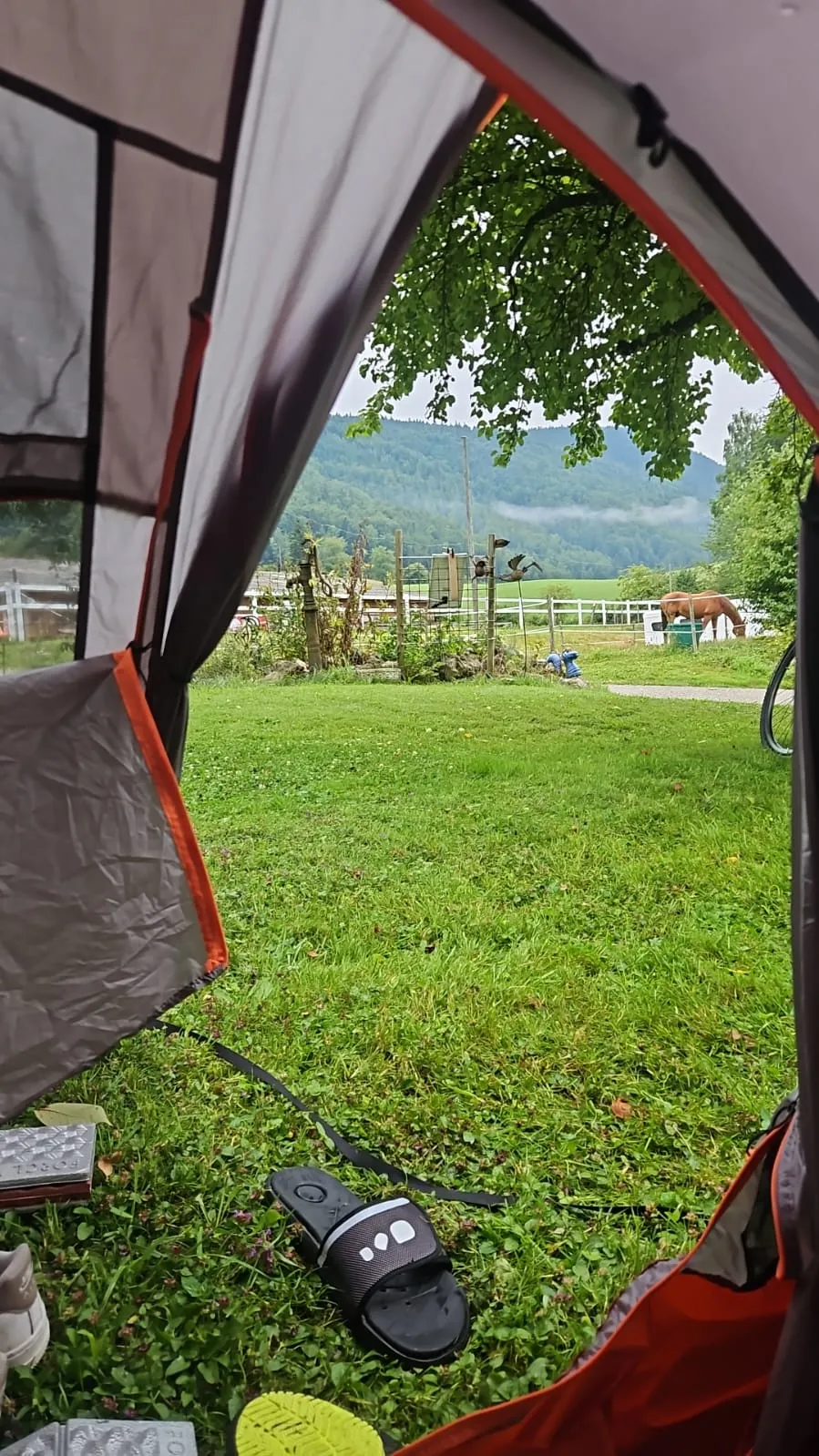 Bild von Chiara für den Spot 250