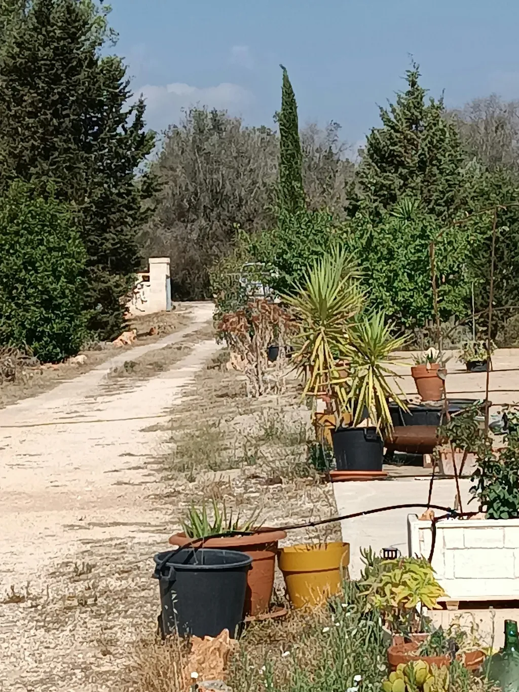 Camping im Privatgarten