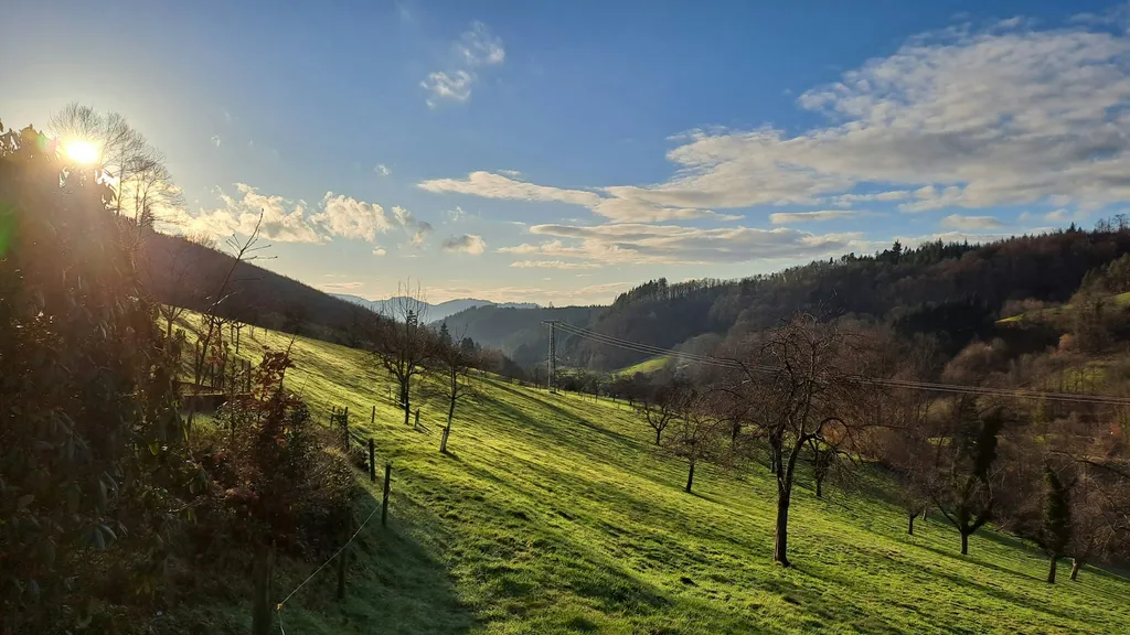 Hasenhof - Gengenbach/Schwarzwald