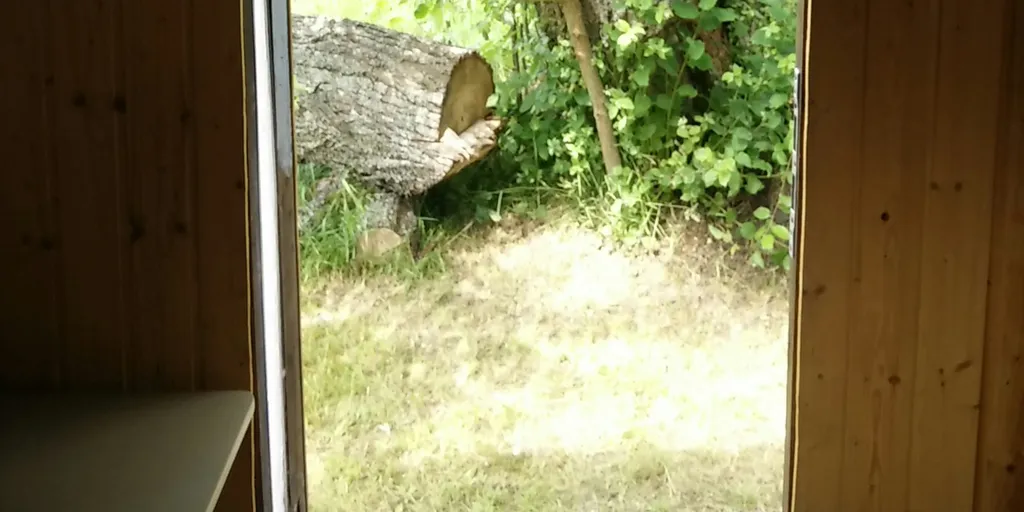 Bauwagen am Rand einer Wiese