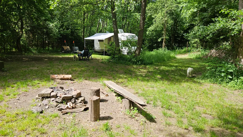 Bild von Monika für den Spot 1584