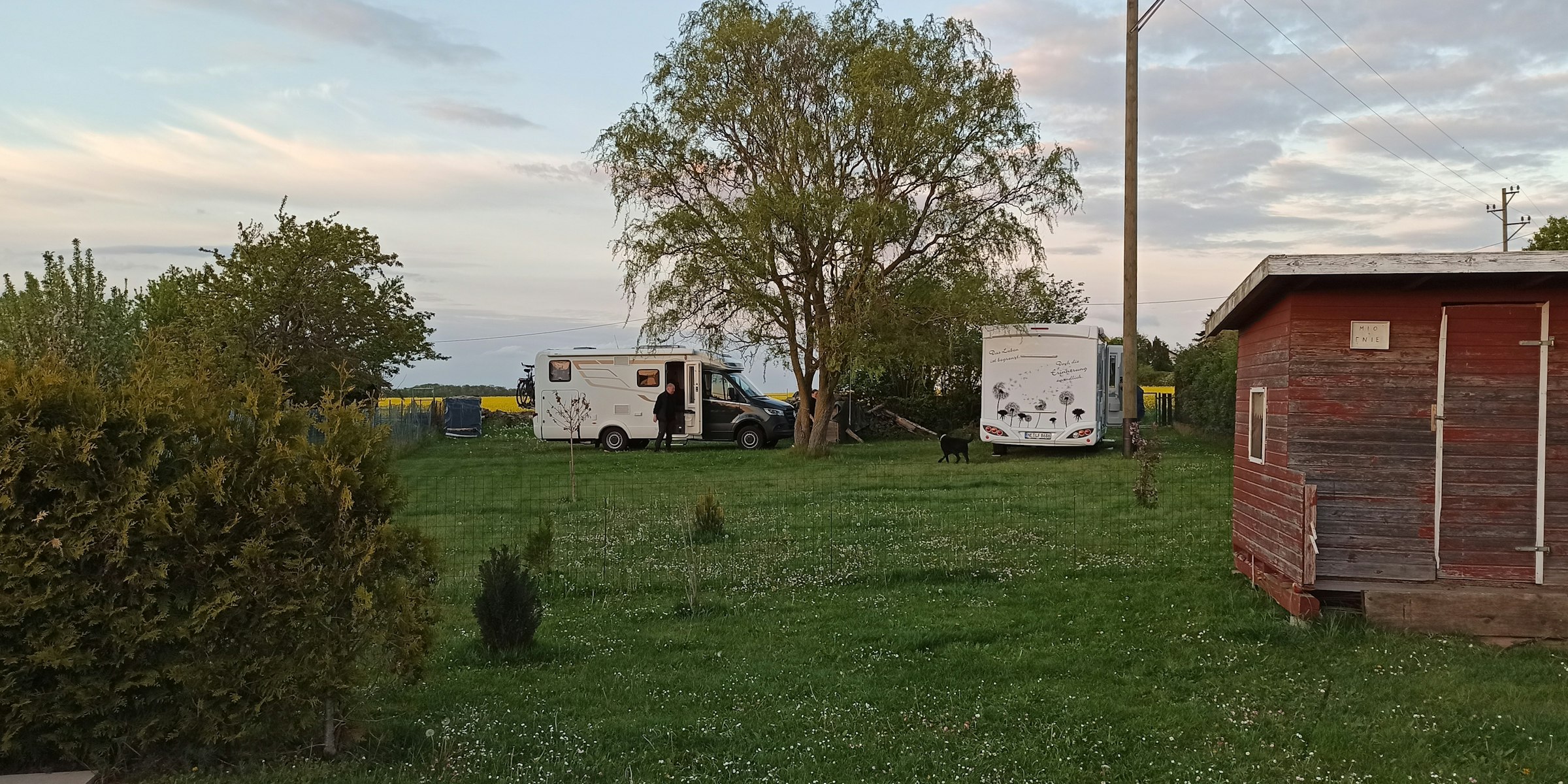 Landluft schnuppern (Kriegsfeld)