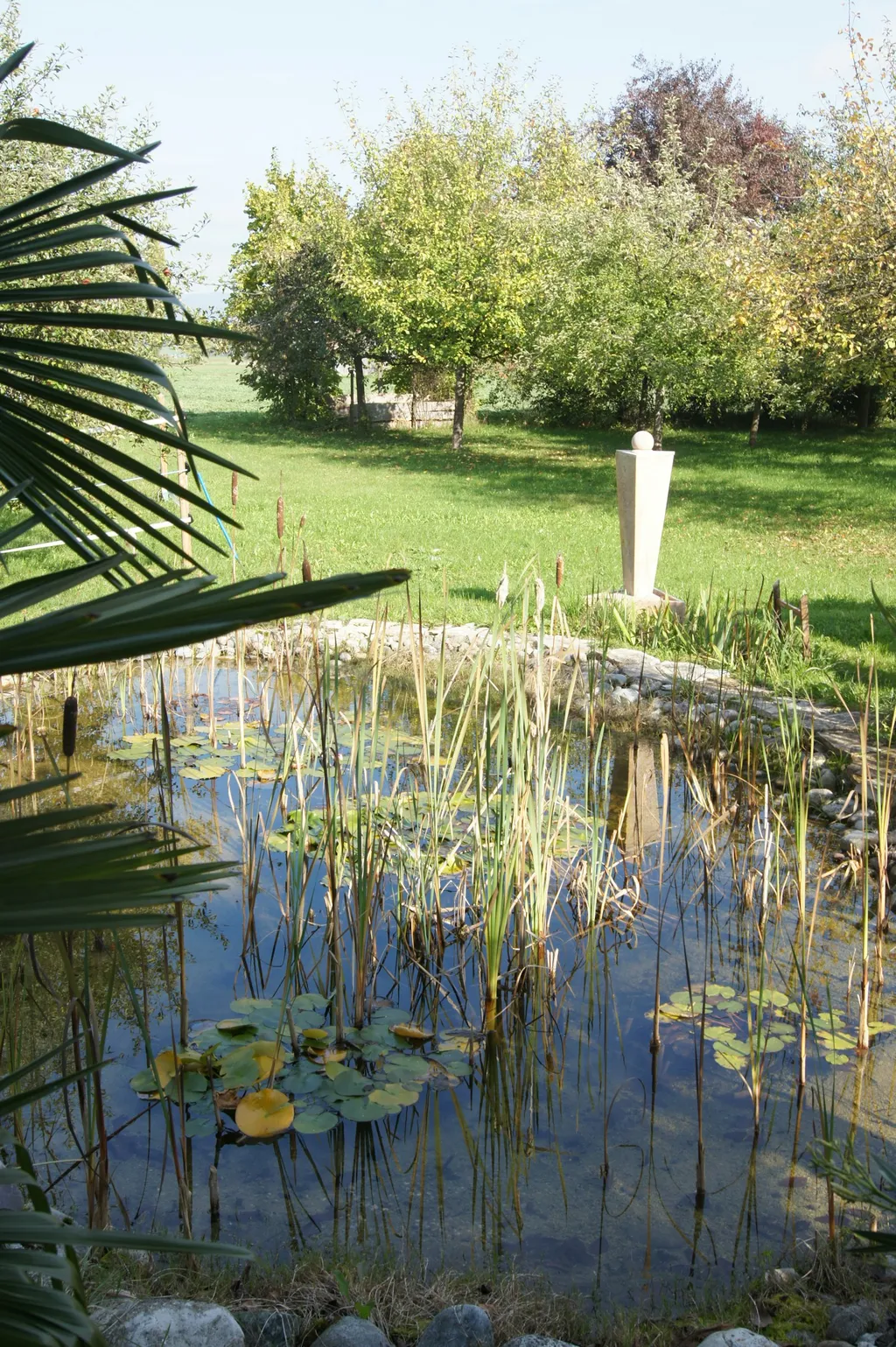Zirkuswagen im Naturpark
