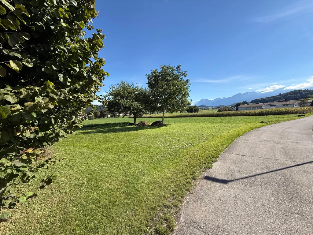 Relaxen im Grünen mit Blick auf die Berner Alpen
