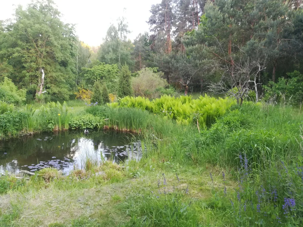 Landschaftsgarten auf Insel Töplitz