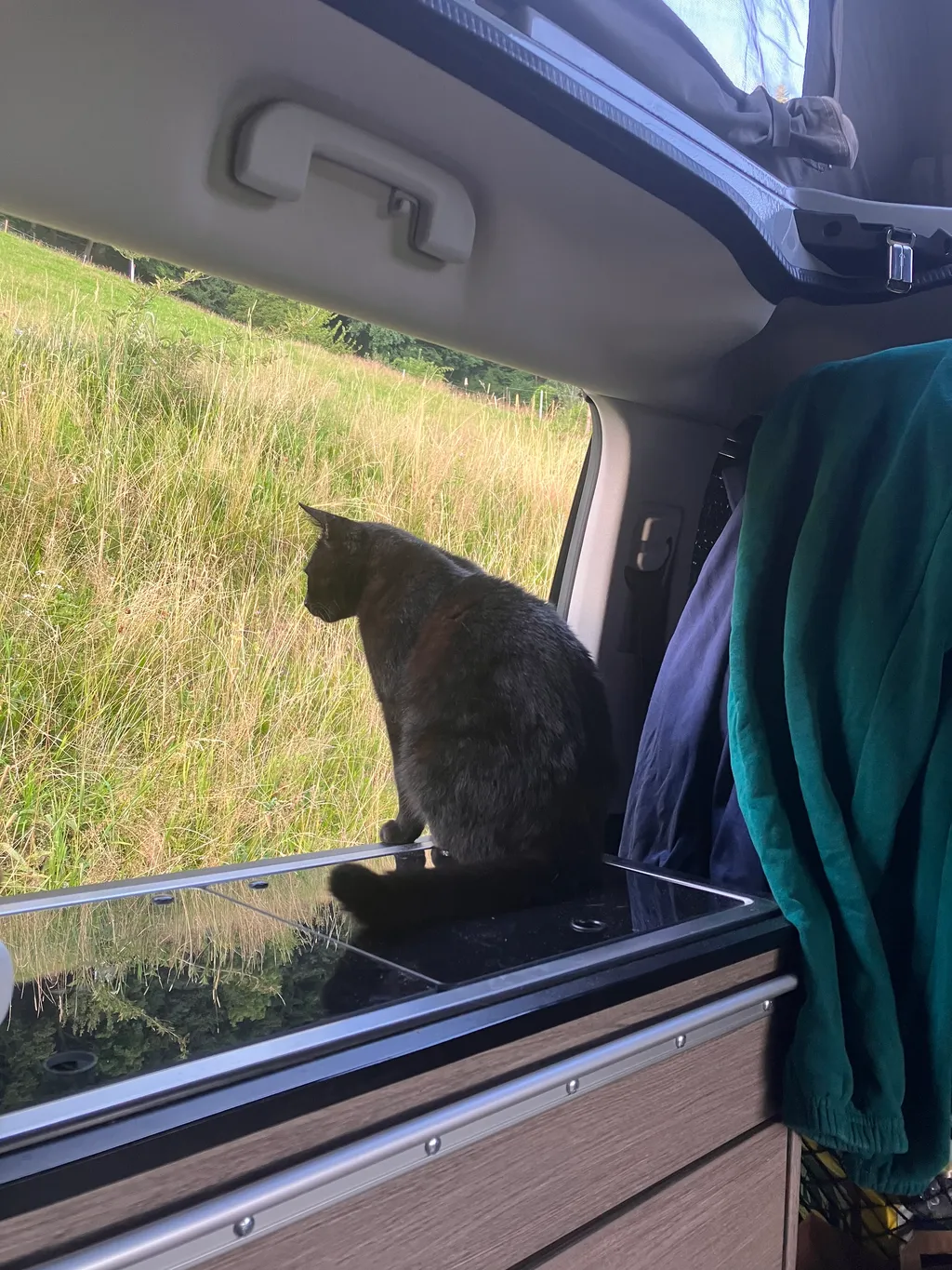 Bild von Michelle für den Spot 3857