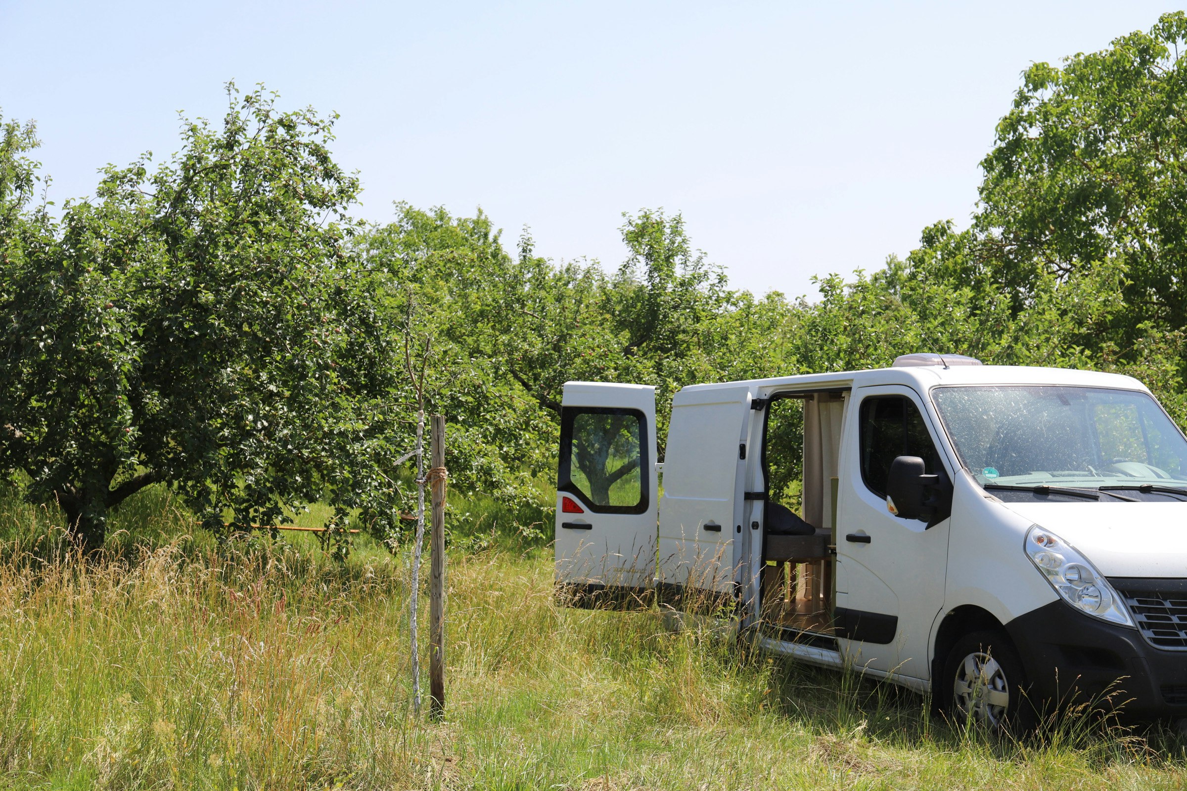 Wilde Ruhe auf naturnaher Obstwiese