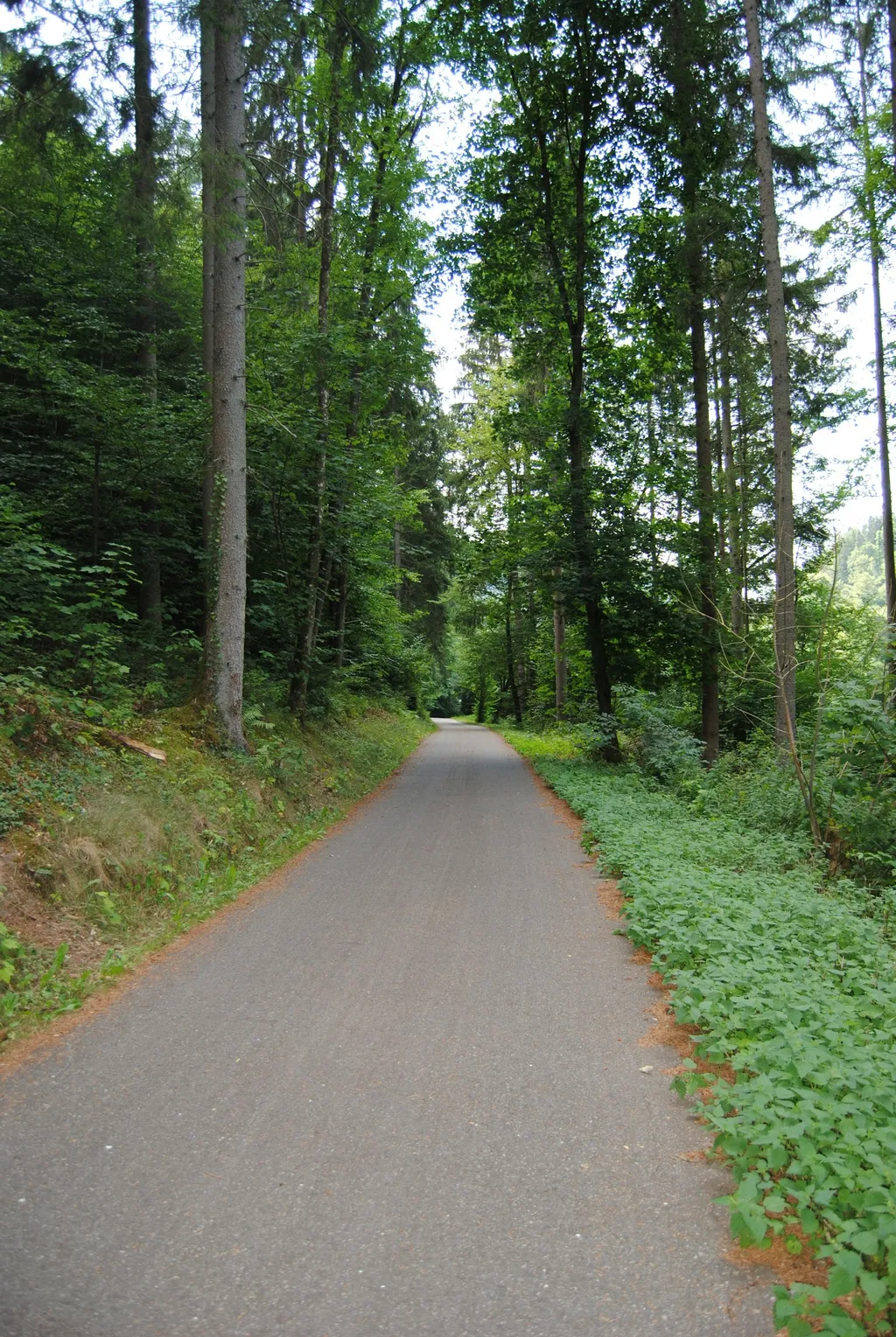 Übernachtung im historischen Nagoldtal