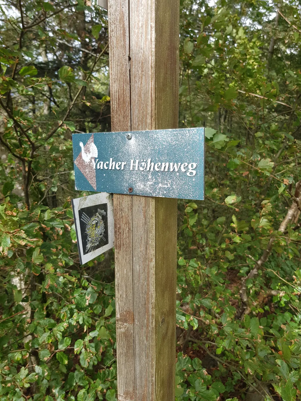 Entschleunigte Schwarzwald-Idylle