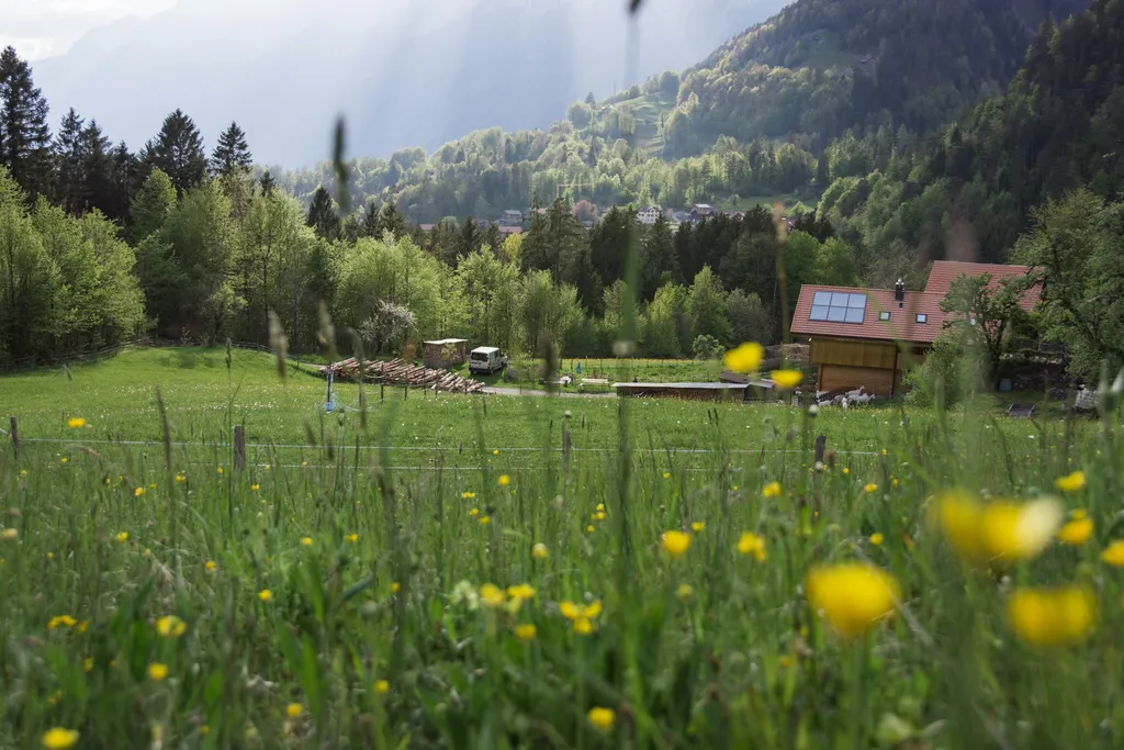 Camping bei Marye's Farmhouse