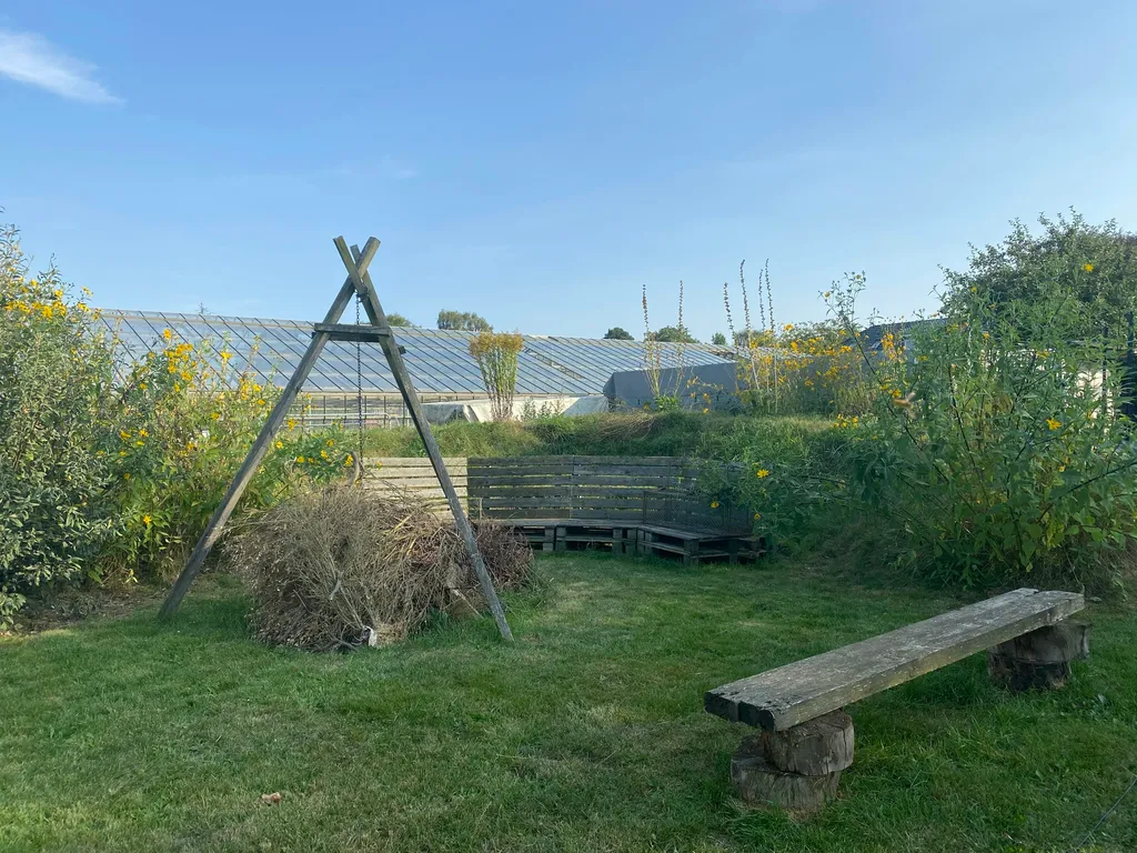 Wiese hinterm Haus