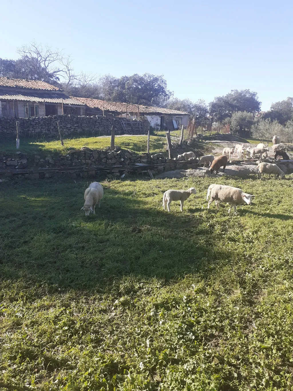 La Pipa - Extremadura  - Spanien