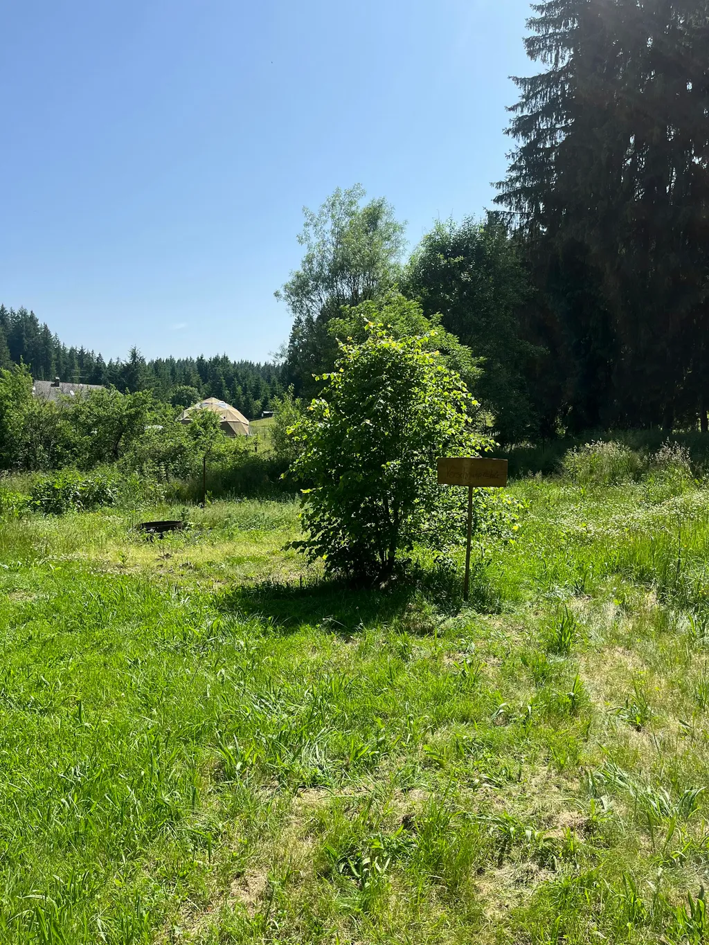 Verschnufplätzle mit Schlehenblick