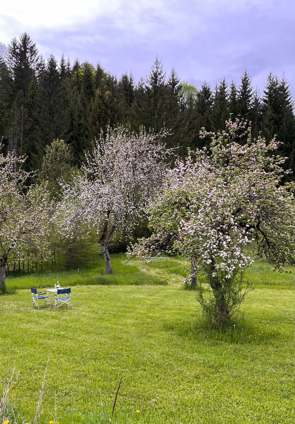 Ruhiger Platz mitten in der Natur