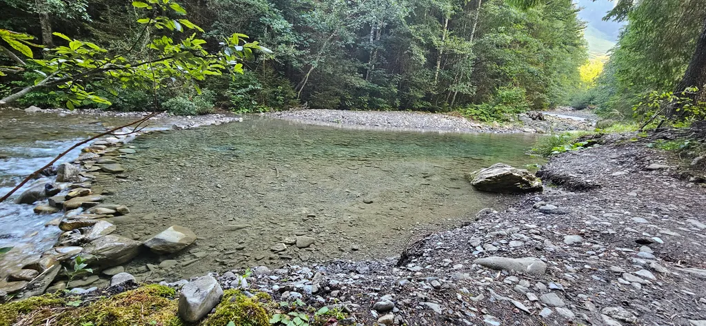 Paradiesli am Bach unter den Tannen