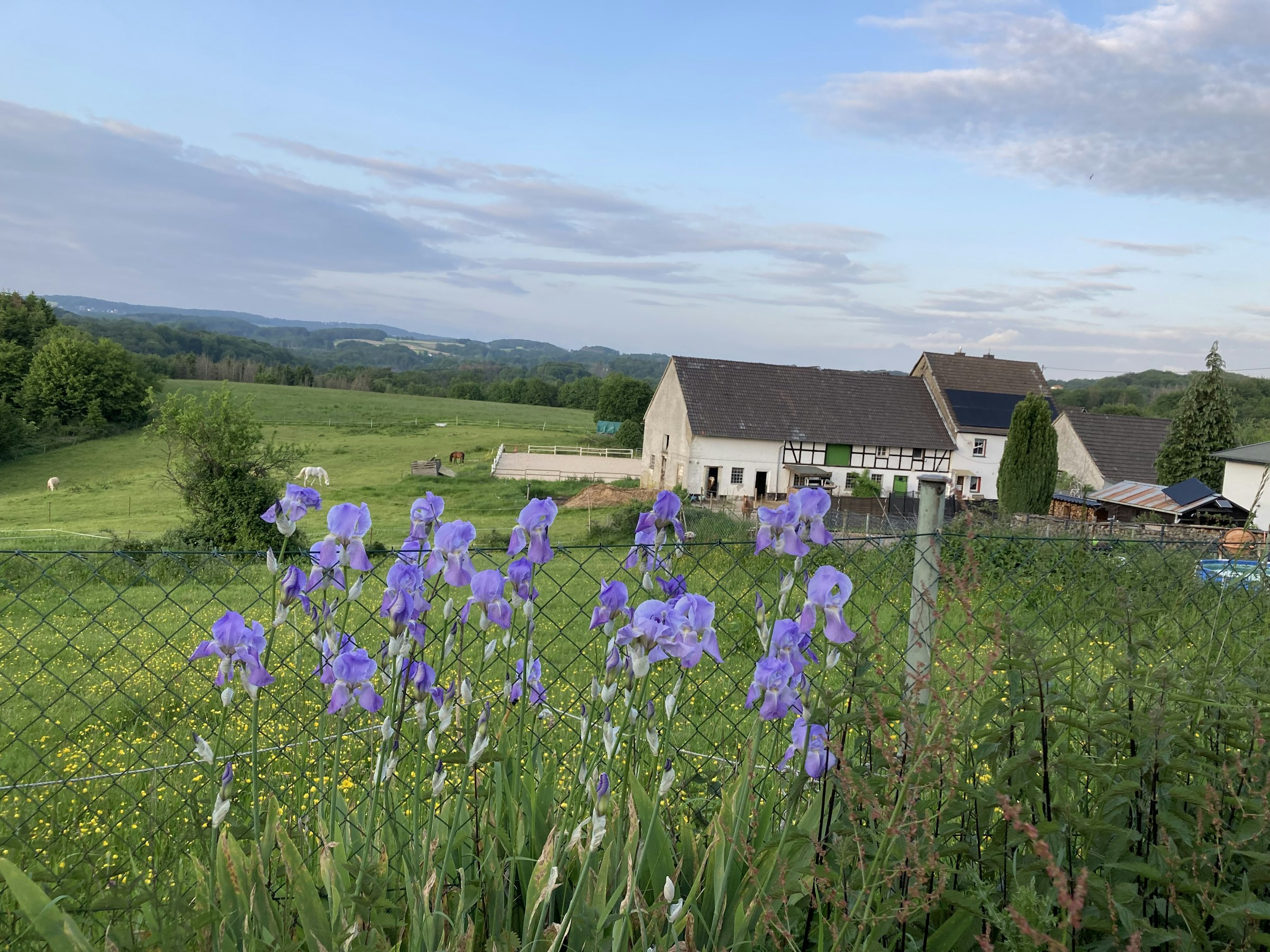 Offenstall Schwellenbach