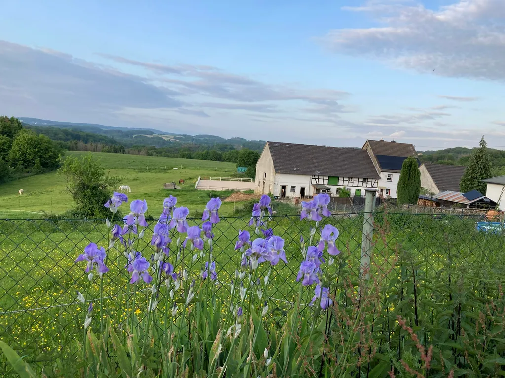 Offenstall Schwellenbach