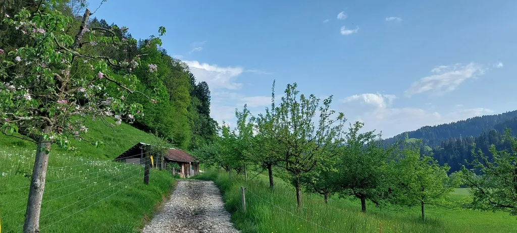 Der Feldweg, der dich zu deinem Camp führt👣