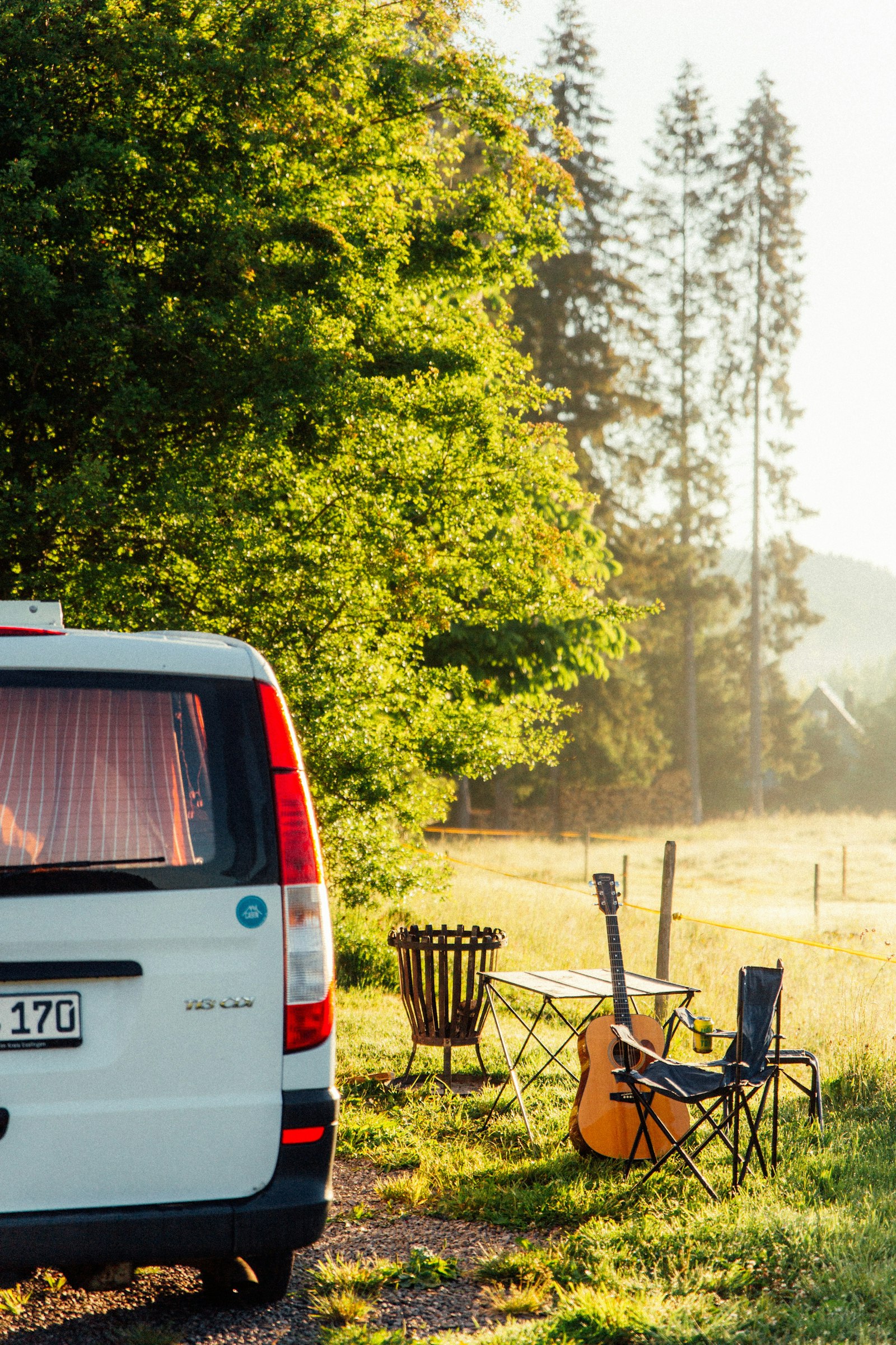 Plätzchen an der Sommerweide — photo 8