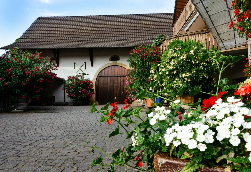 Stellplatz Himmelreich