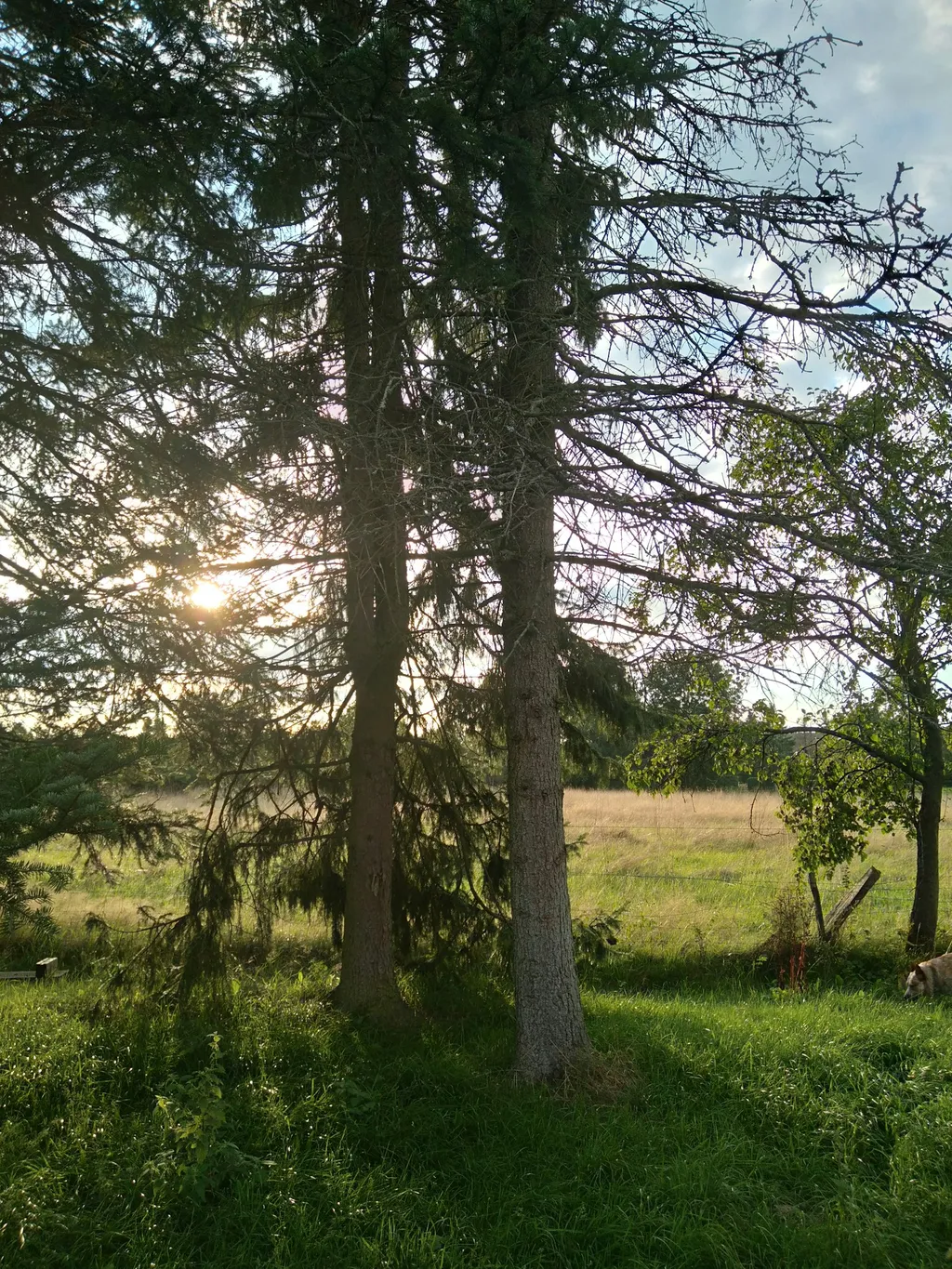 Idyllisches Plätzchen am Eifelsteig
