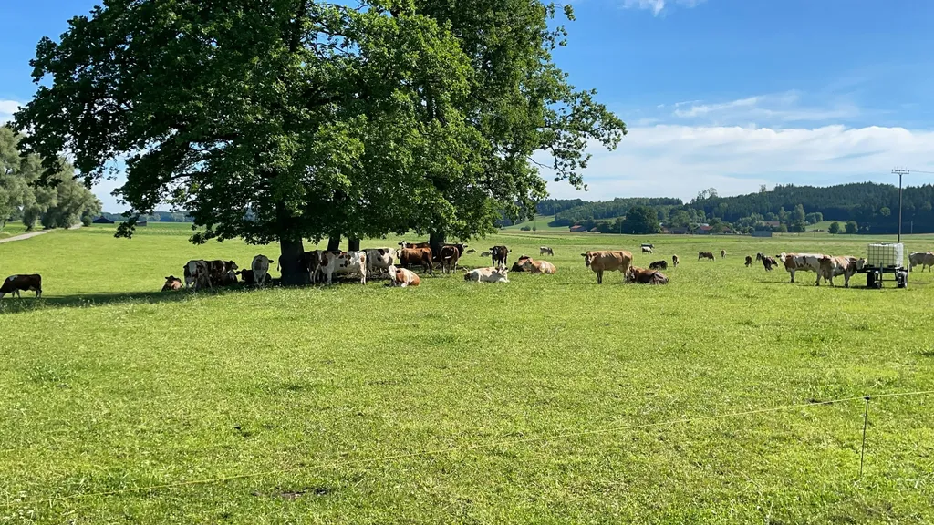 Ruhige naturverbundene Lage