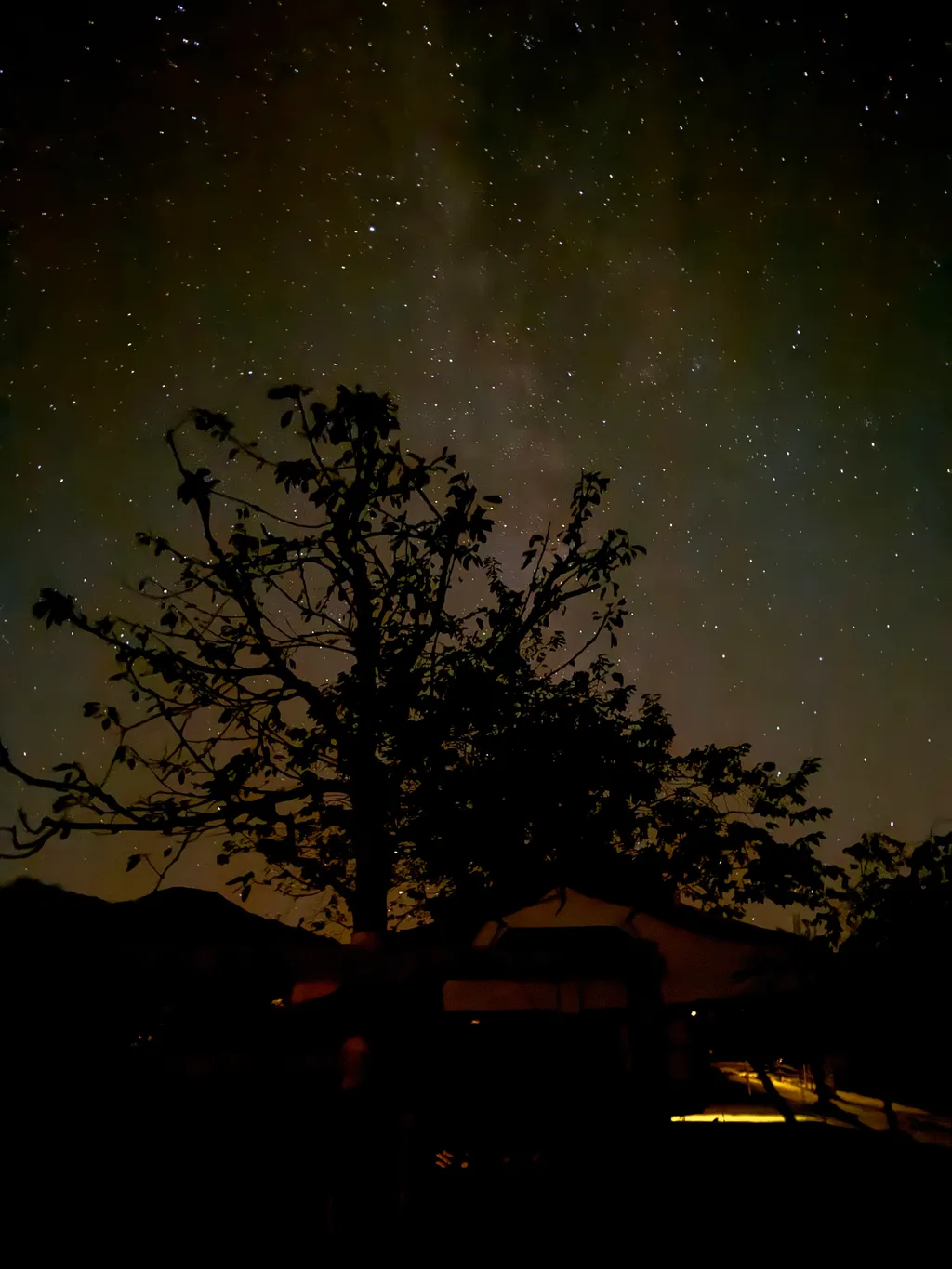 Bild von Daniela für den Spot 171