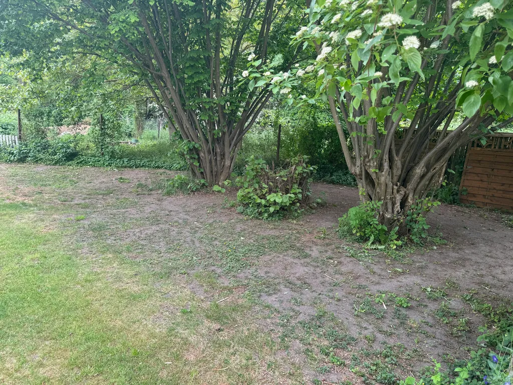 Garten auf dem Gnitz/Usedom
