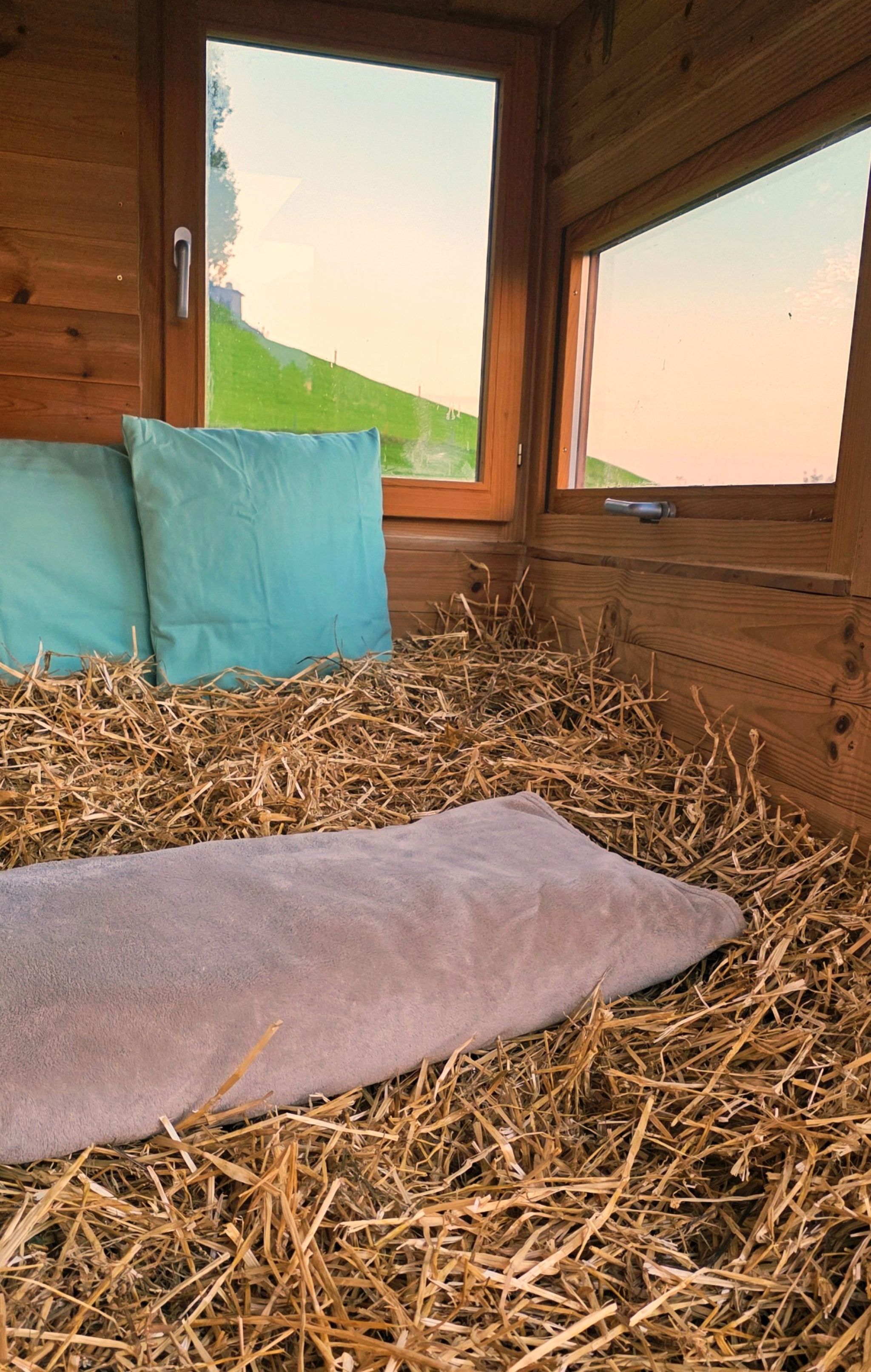 Tiny Wood Shack photo 3
