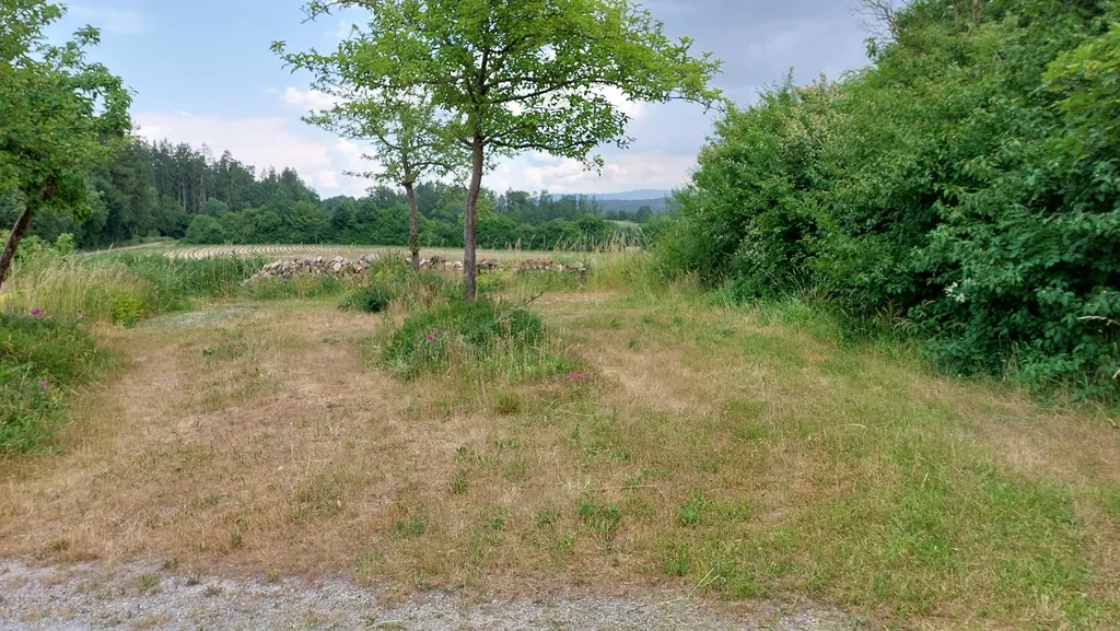 Auf dem Hügel, Blick in die Ferne