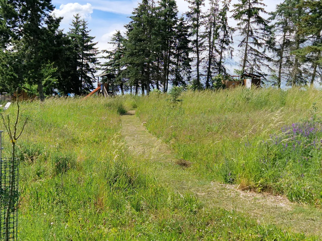 Idylle im lieblichen Taubertal