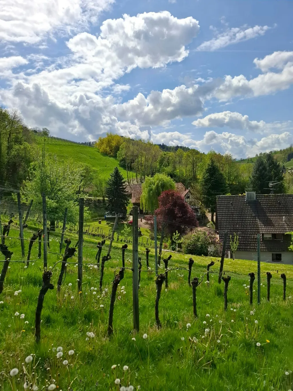 Idyllische Lage a/Panoramaweg