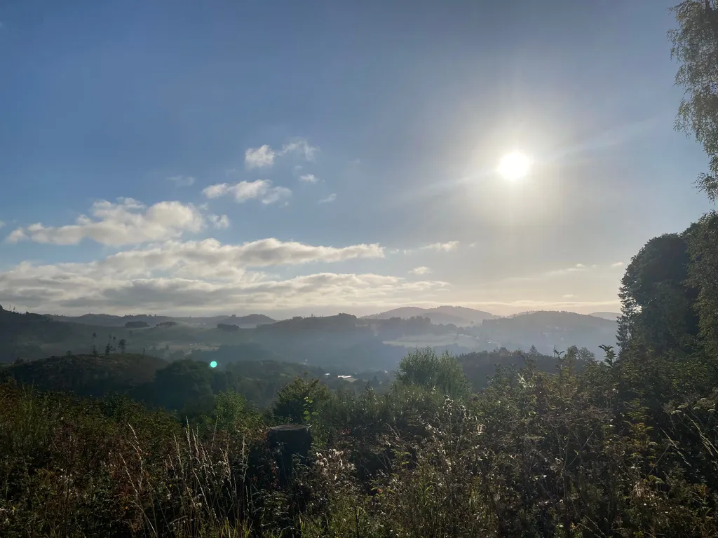 Bild von Peter für den Spot 3839