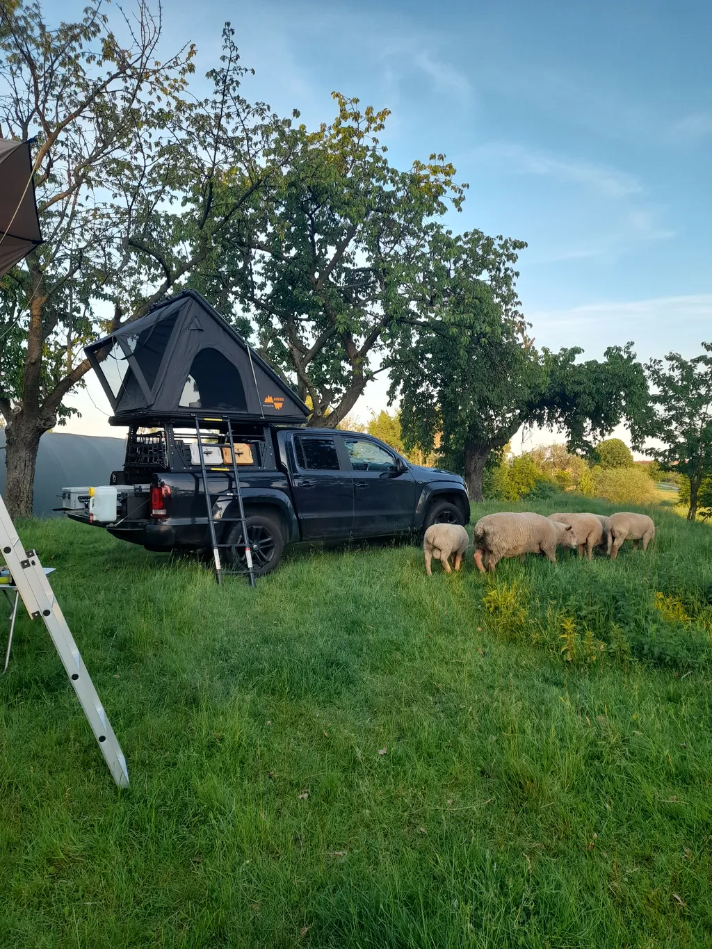 Bild von Max für den Spot 3629