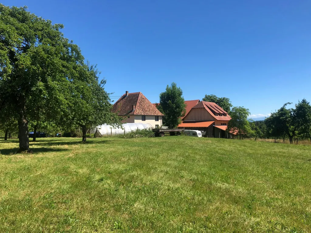 Zelt- und Stellplätze im Grünen