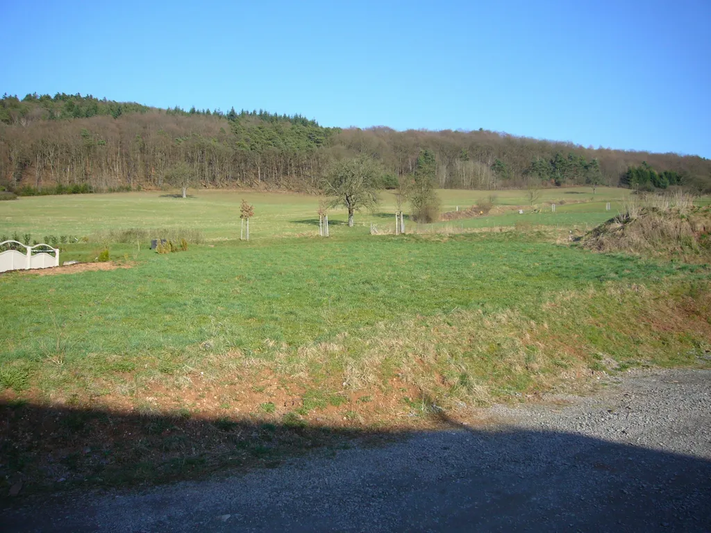 Wiesengrundstück im Remigiusland