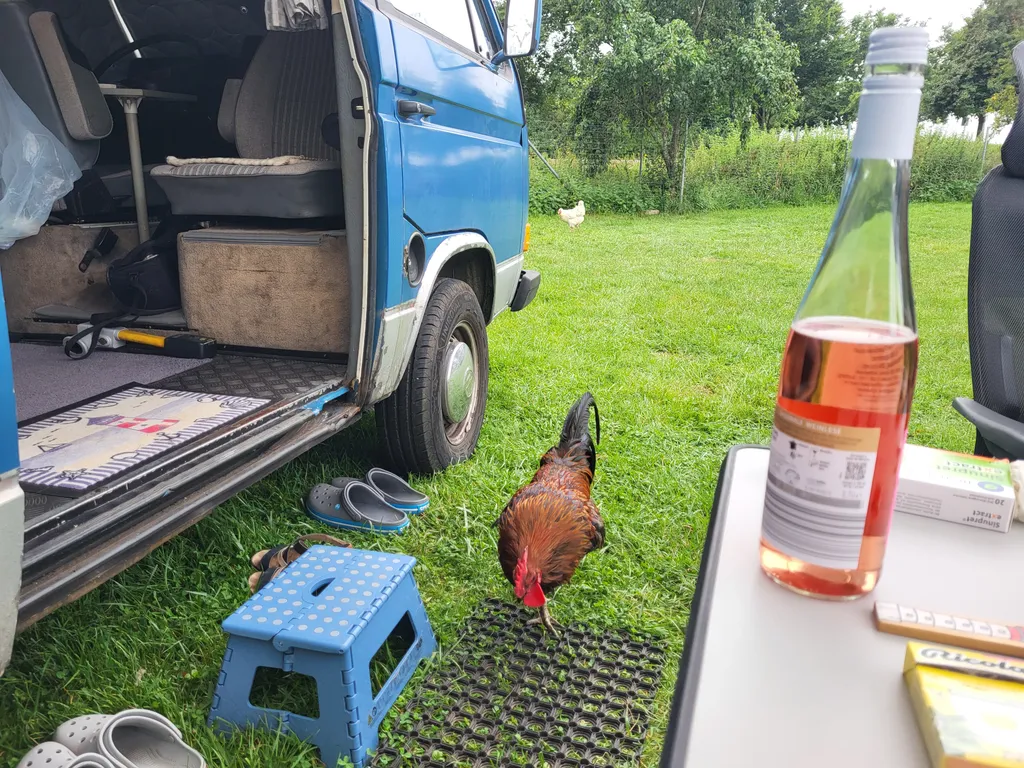 Bild von Birgit für den Spot 762