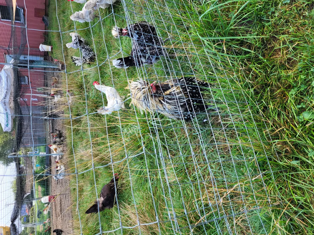 Bild von Birgit für den Spot 762