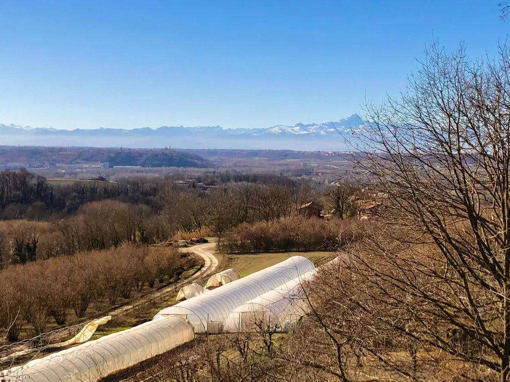 Camp L'Amaranto