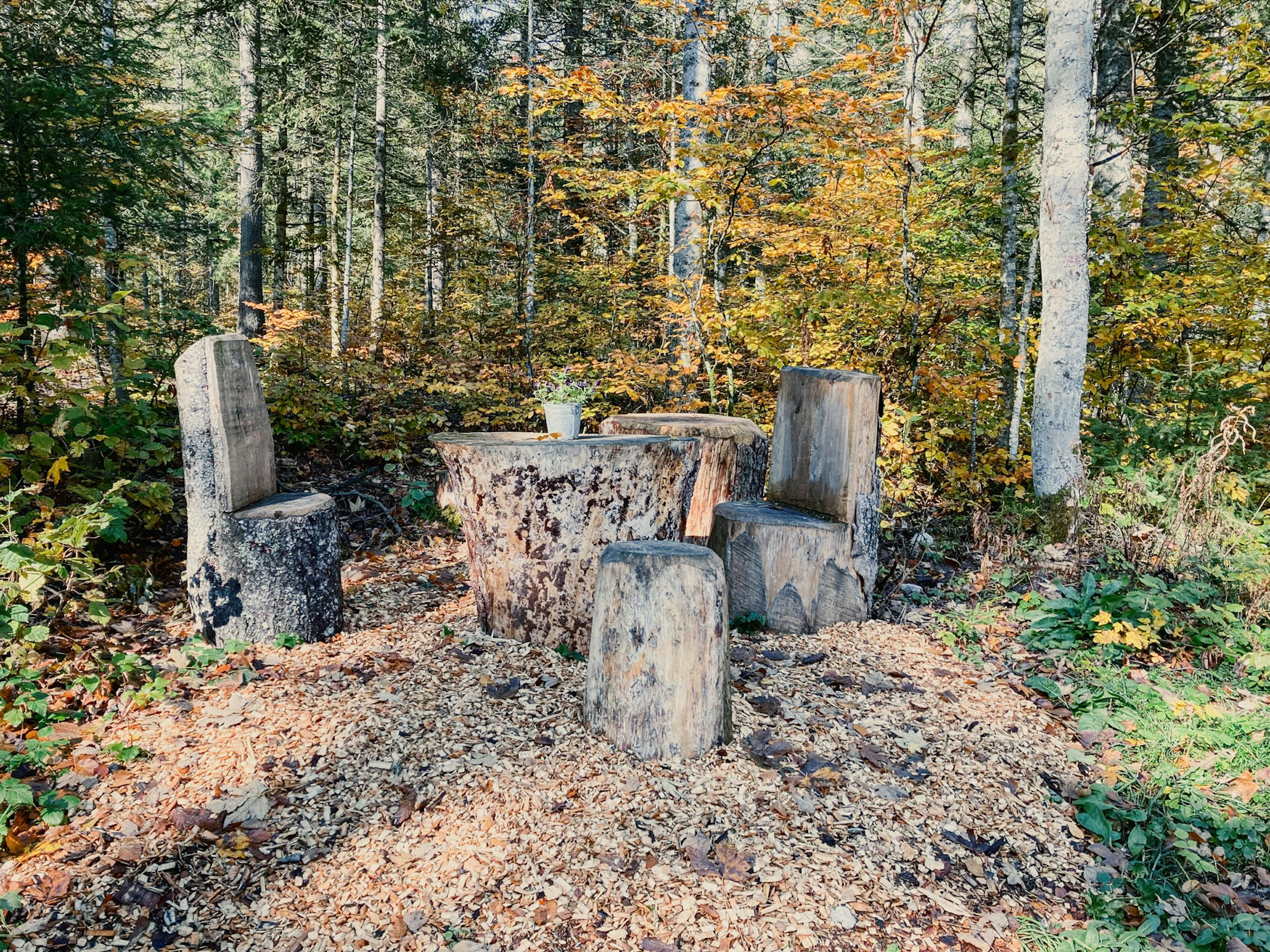 La Prise-Fège - "Sentier des fées"
