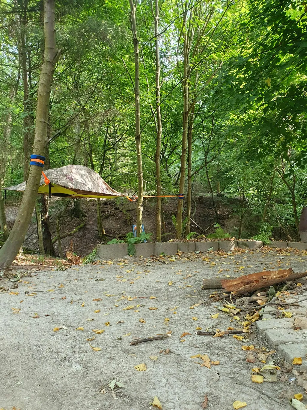 Wilde Übernachtung im Baumzelt